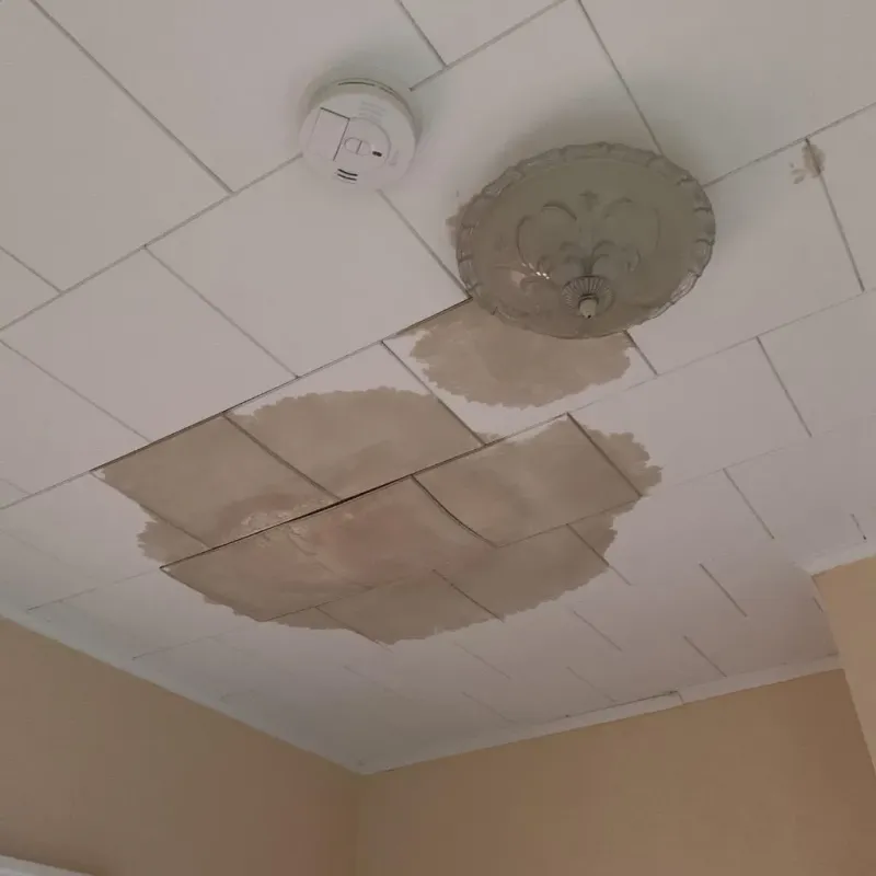 Ceiling Water Damage Repair in Iron County, UT