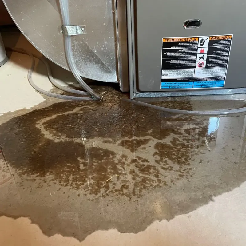 Pipe Burst and Leak Restoration in Iron County, UT