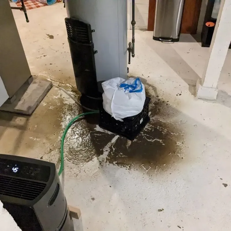 Sewage Backup Cleanup Service in Iron County, UT